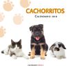 CALENDARIO CACHORRITOS 2018