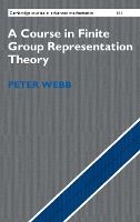 Portada de A Course in Finite Group Representation Theory