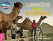 Portada de Looking After Animals