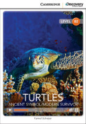 Portada de TURTLES DISC B2