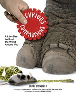 Portada de Curious Comparisons: A Life-Size Look at the World Around You