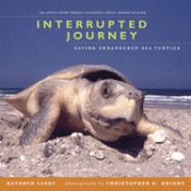 Portada de Interrupted Journey: Saving Endangered Sea Turtles