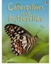 CATERPILLARSC AND BUTTERFLIES