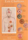 CHAKRAS, LOS CENTROS DE ENERGÍA DEL CUERPO HUMANO