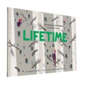 Portada de Lifetime: The Amazing Numbers in Animal Lives