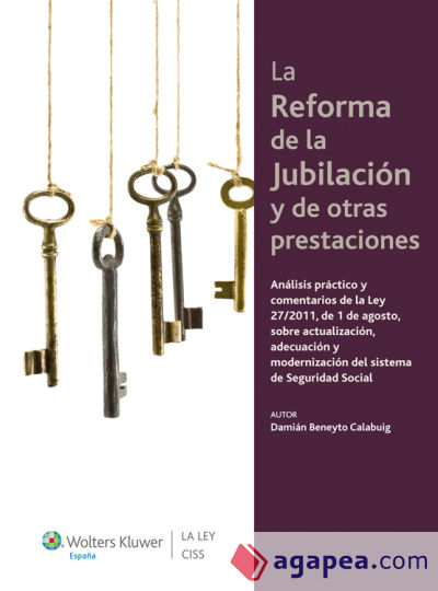 La reforma de la jubilación y otras pensiones (Ebook)