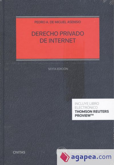 DERECHO PRIVADO DE INTERNET 6 EDICION