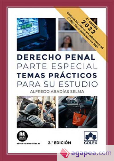 Derecho penal parte especial. Temas prácticos para su estudio