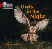 Portada de Owls in the Night: Band 02b/Red B