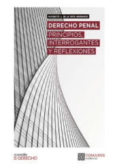 Portada de Derecho penal. Principios, interrogantes, reflexiones