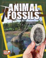 Portada de Animal Fossils