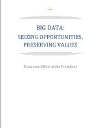 Portada de Big Data: Seizing Opportunities, Preserving Values