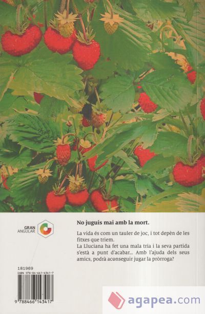 Camps de maduixes