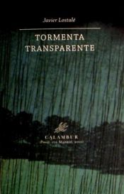 Portada de Tormenta transparente