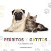 Calendario Perritos y gatitos 2026