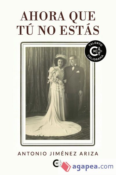 Ahora que tú no estás Ahora que tú no estás