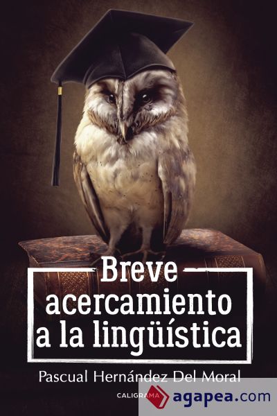 Breve acercamiento a la lingüística