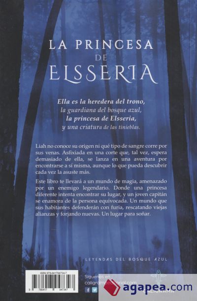 La princesa de Elsseria