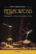 Portada de Metamorfosis (Ebook)