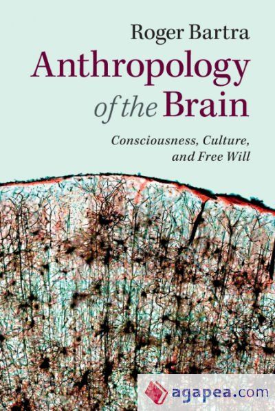 Anthropology of the Brain Anthropology of the Brain