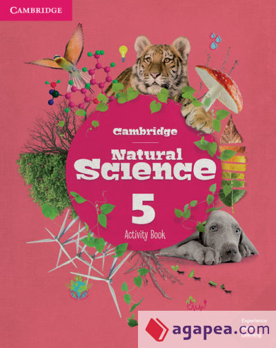 Cambridge Natural Science Primary Level 5 Activity Book