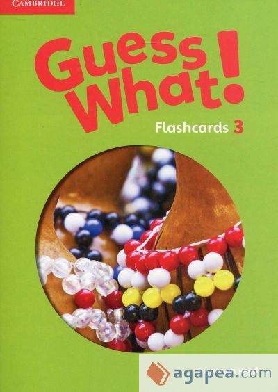 Guess What! Guess What! Level 3 Flashcards (75)