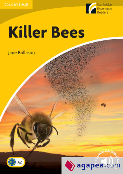 Killer Bees, level 2