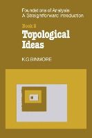 Portada de The Foundations of Topological Analysis