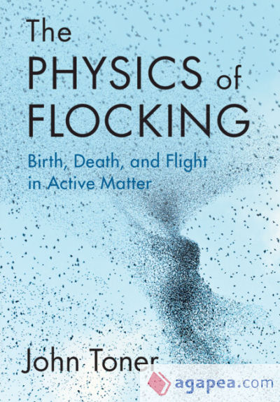 The Physics of Flocking