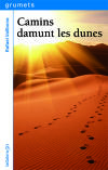 Camins damunt les dunes