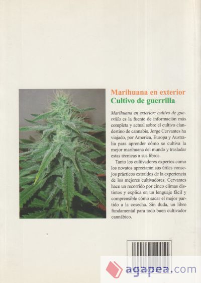 Marihuana en exterior