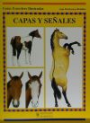 Capas y señales