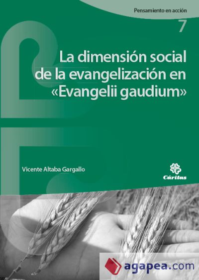 La dimensión social de la evangelización en «Evangelii gaudium»