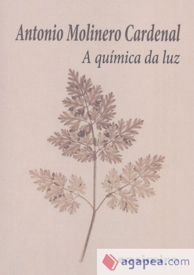 A Quimica Da Luz.(casimiro)