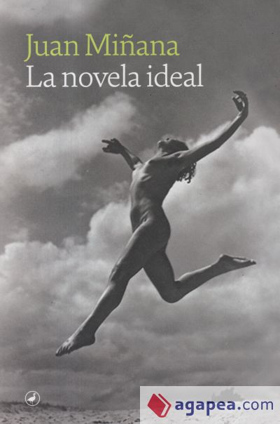 La novela ideal