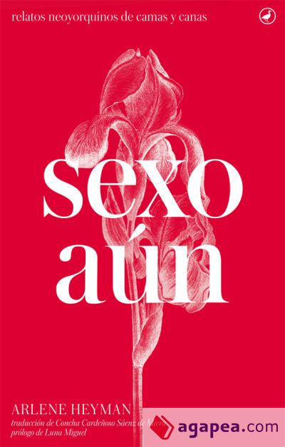 Sexo aún