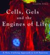 Cells, Gels and the Engines of Life: A New Unifying Approach to Cell Function