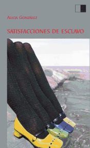 Portada de SATISFACCIONES DE ESCLAVO