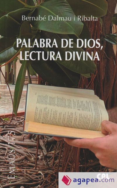 Palabra de Dios, Lectura Divina