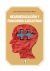 Portada de Neuroeducaci&oacute;n y Funciones Ejecutivas, de Jos&eacute; Antonio Portellano P&eacute;rez