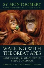 Portada de Walking with the Great Apes
