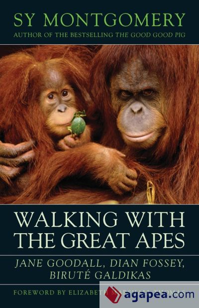 Walking with the Great Apes