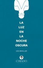 Portada de La luz en la noche oscura (Ebook)