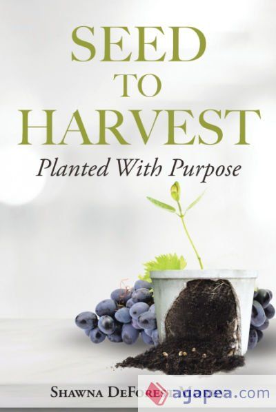 Seed to Harvest: Planted with Purpose