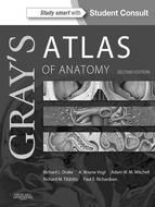 Portada de Gray's Atlas of Anatomy E-Book (Ebook)