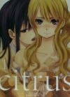 Citrus, Vol. 1