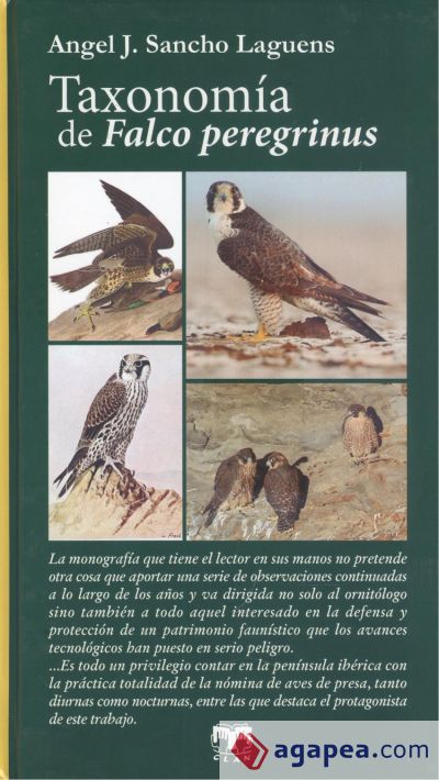 Taxonomía de Falco Peregrinus