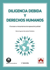 Portada de Diligencia debida y derechos humanos