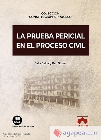 La prueba pericial en el proceso civil