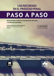 Portada de Los recursos en el proceso penal: Guía práctica sobre la impugnación de autos y sentencias penales